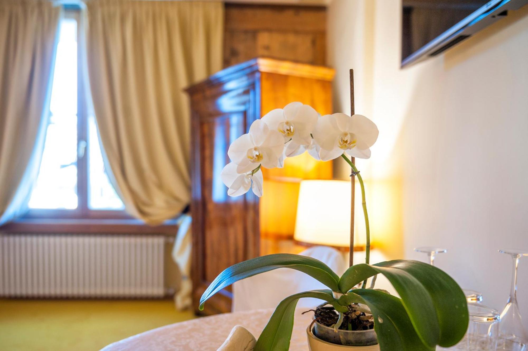 Villa Orso Grigio Ronzone Zewnętrze zdjęcie